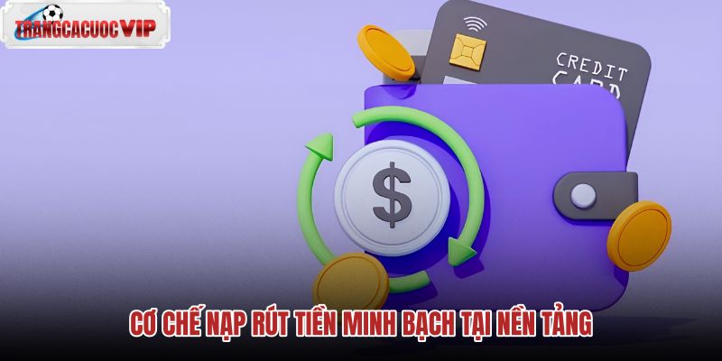 co-che-nap-rut-tien-minh-bach-tai-nen-tang