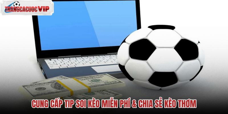 Cập nhật tip soi kèo miễn phí chất lượng mỗi ngày