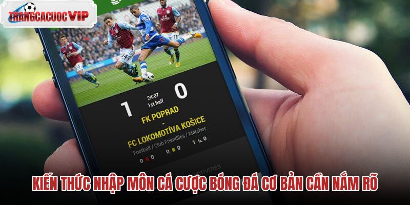 Nền tảng hướng dẫn cá cược bóng đá cơ bản cho người mới