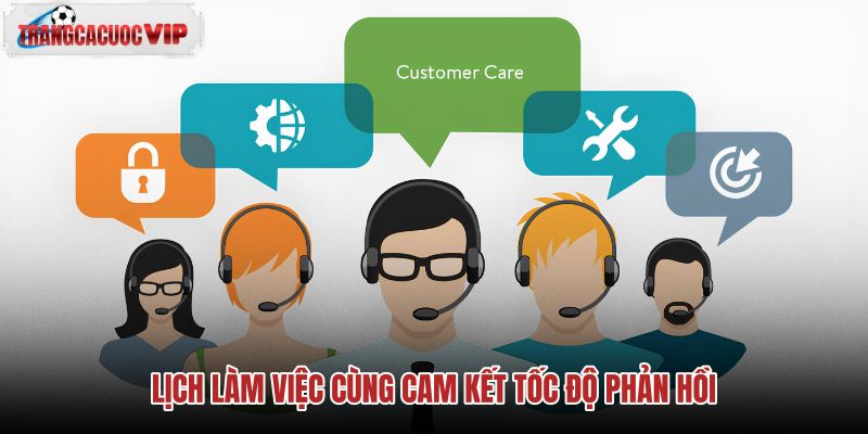 lich lam viec cung cam ket toc do phan hoi