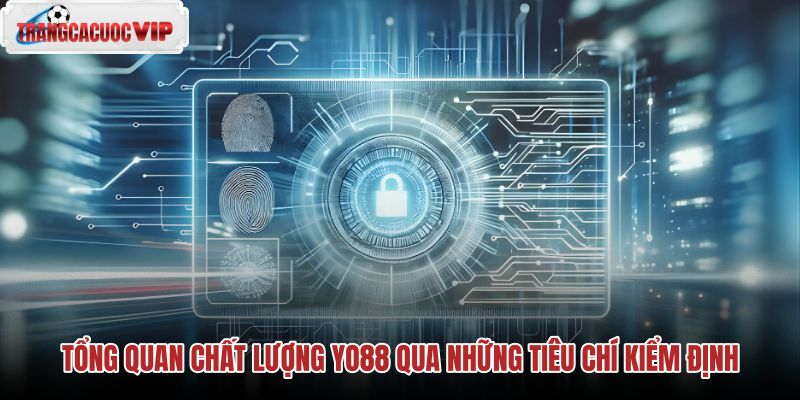 tong-quan-chat-luong-yo88-qua-nhung-tieu-chi-kiem-dinh