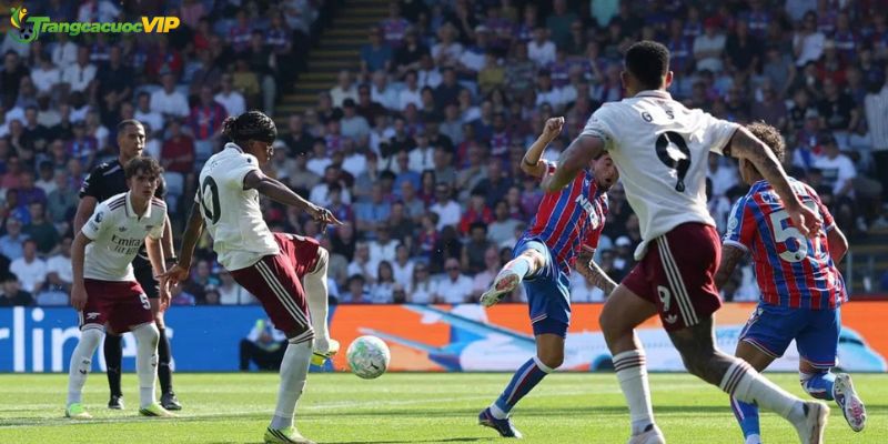 Everton có điểm tựa sân nhà, Palace bước vào mùa giải với nhiều thay đổi